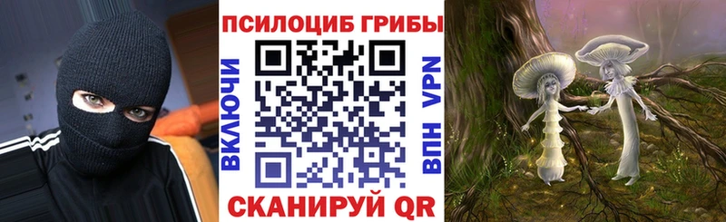 Псилоцибиновые грибы прущие грибы  Юрюзань 